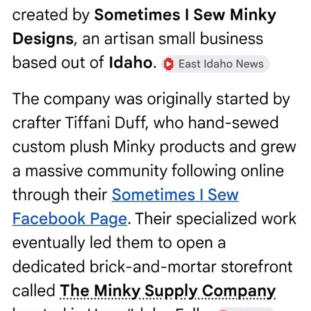 Sometimes I Sew Minky Designs XL Blanket and pillowcase